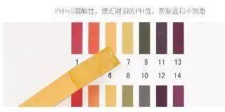 陈数|43岁的陈数演“女配”竟艳压女主佟丽娅,看了她的状态,我果断种草了这个东西......