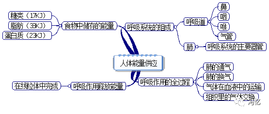 初中生物:七年级上下册课本思维导图,预习必备好帮手