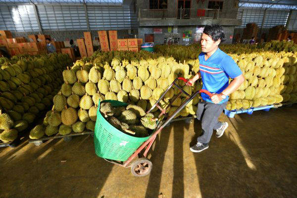 美媒：卡车列车接力 泰国打造对华食品出口新路