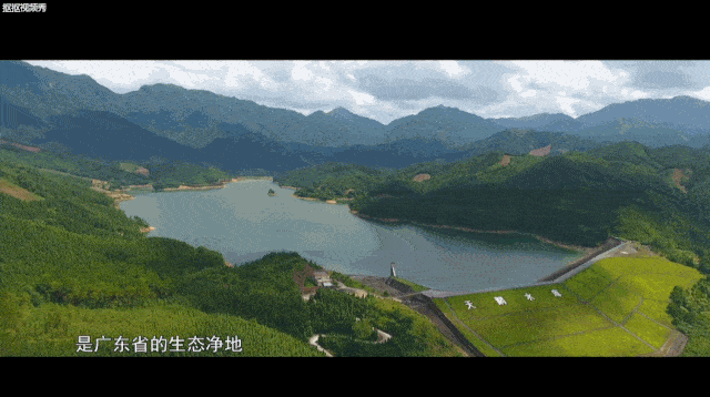 将 天鹅湖紧密地拥在怀内