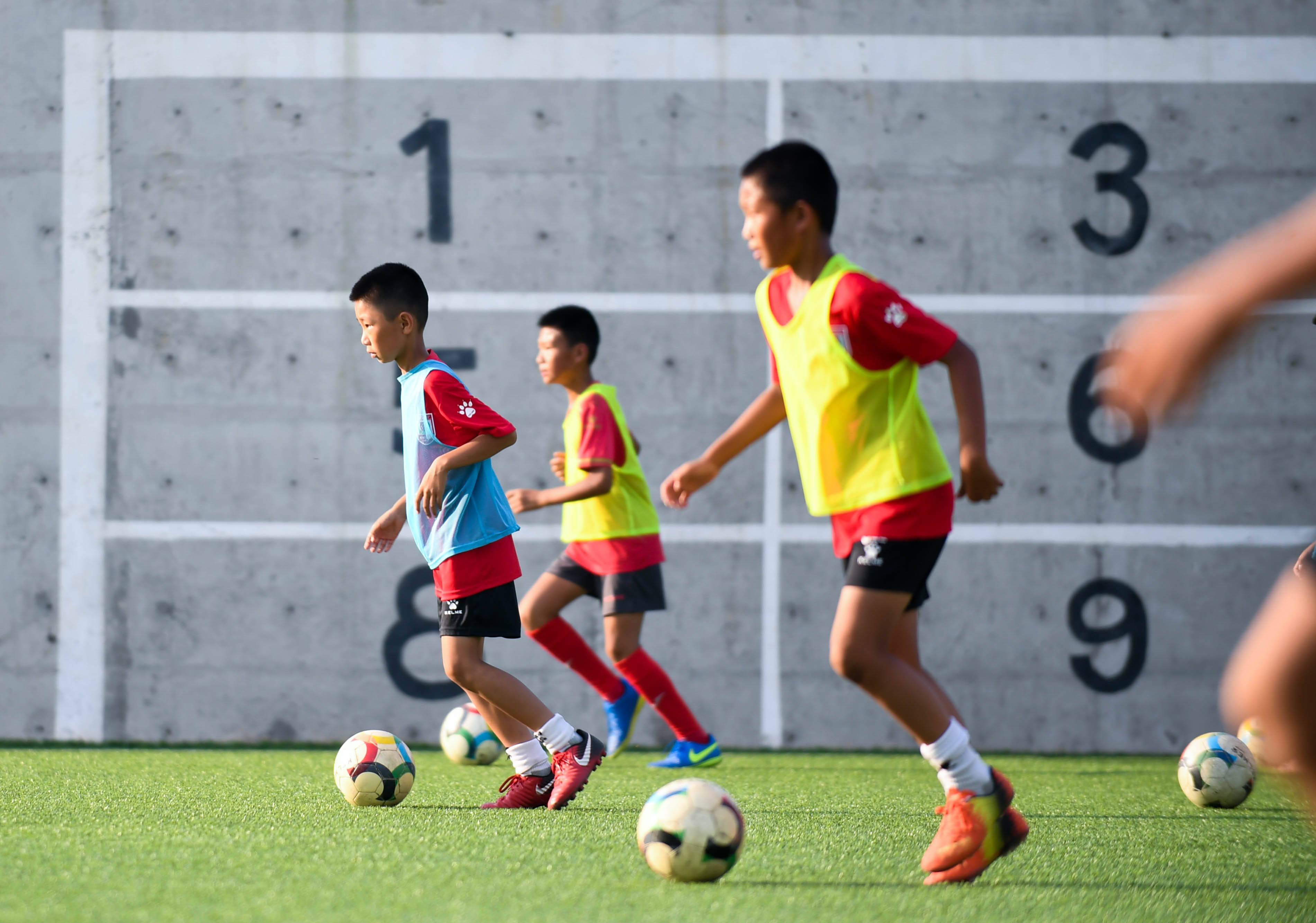 中国足球职业化改革为什么不成功_越南改革为什么成功_台湾去蒋化成功了吗