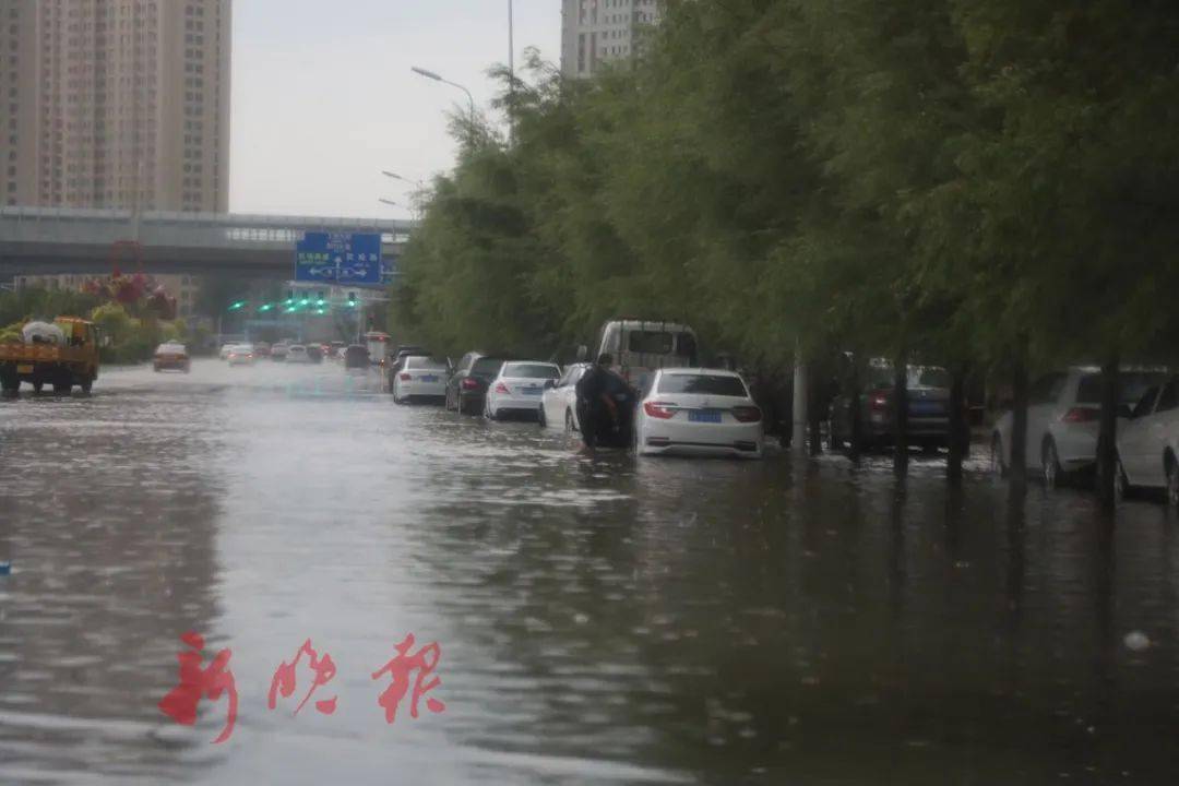 暴雨"作妖"!哈尔滨雨中,雨后,刚刚拍下的