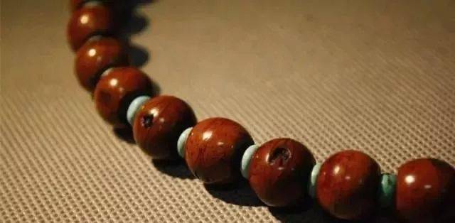 要点|菩提搭它，惊艳！