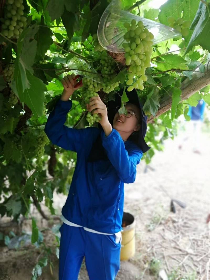 陈凯运|广大附中全省文科前20陈凯运：不时在全民K歌录一首缓解压力