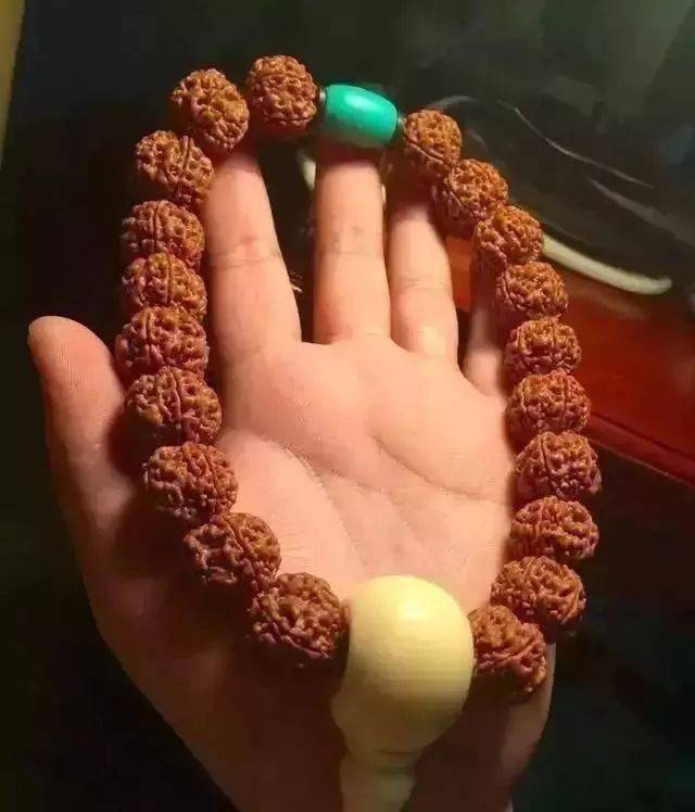 要点|菩提搭它，惊艳！