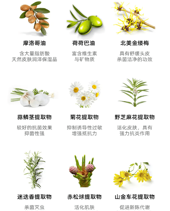 成分|日本超火，唤起发丝健康，绽放美丽光彩