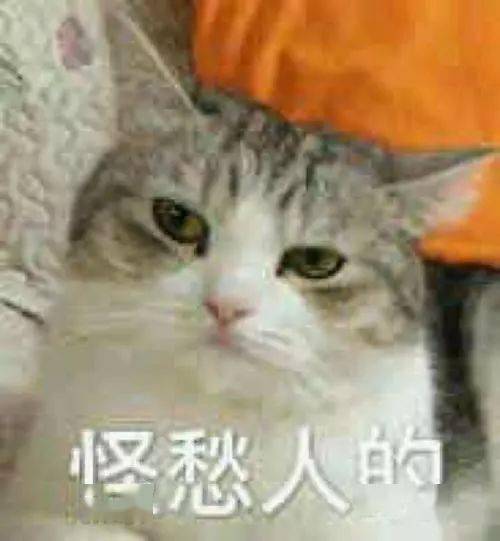 2020贵港市初级中学_市区将新增一初中和一幼儿园!就在这片区域……