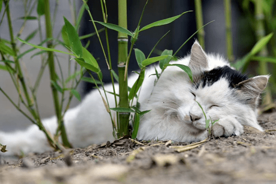 宫囍|【宫囍龙凤呈祥】结婚我得好好穿