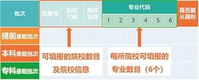 志愿|高考志愿填报 这些“功课”要做足