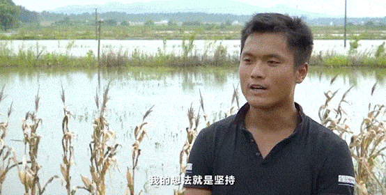 游子|汛情紧急！两封“家书”，近7000游子无畏逆行！为这样的长江“后浪”点赞→