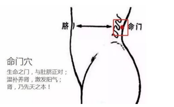 背部是健康的晴雨表,是人体坚实的保护屏障.