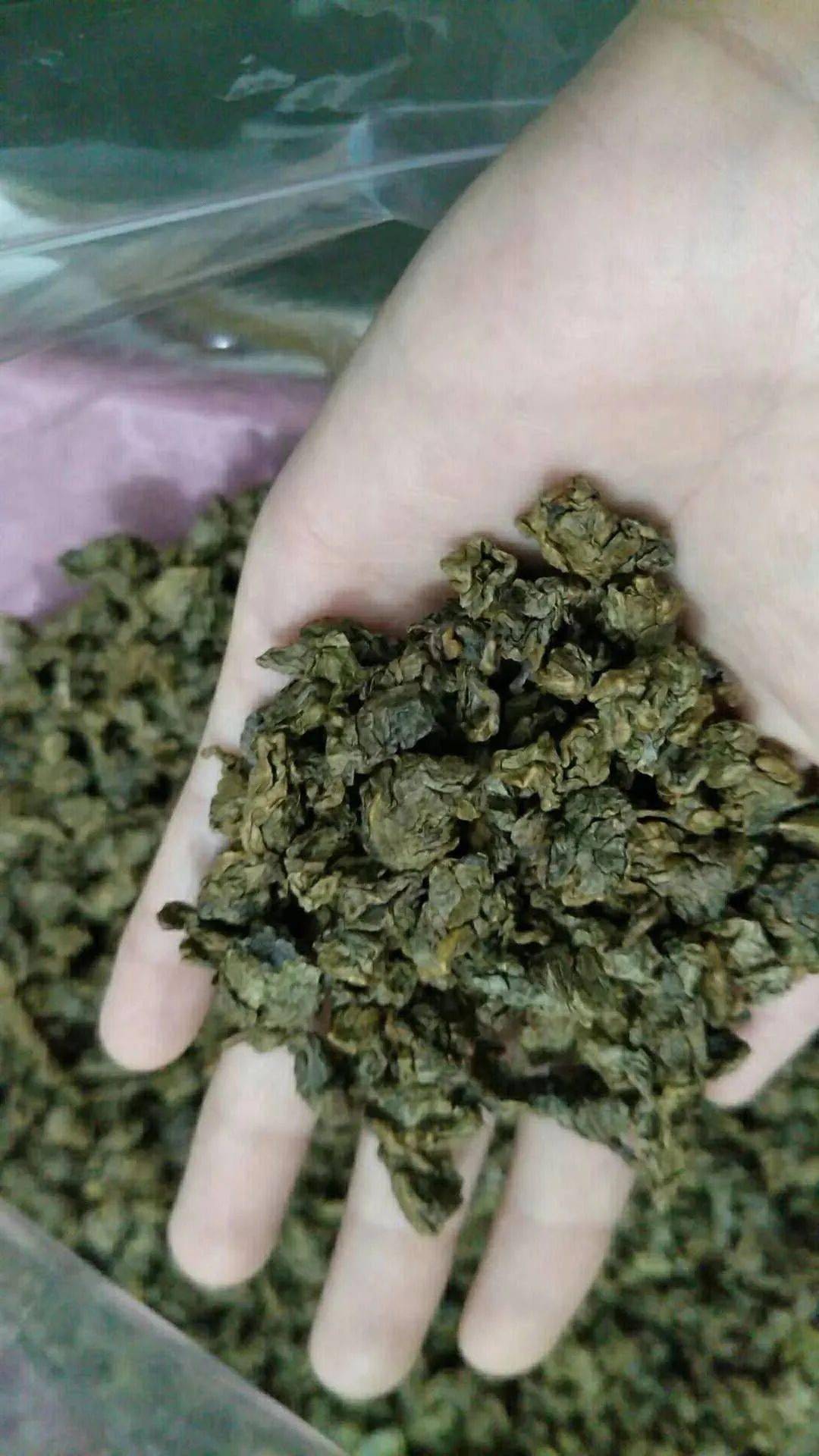 暑实茂名第三站沉香之乡