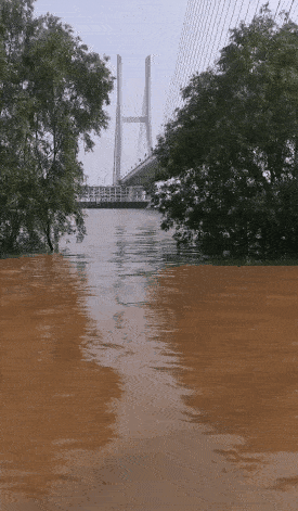 275_471 竖版 竖屏