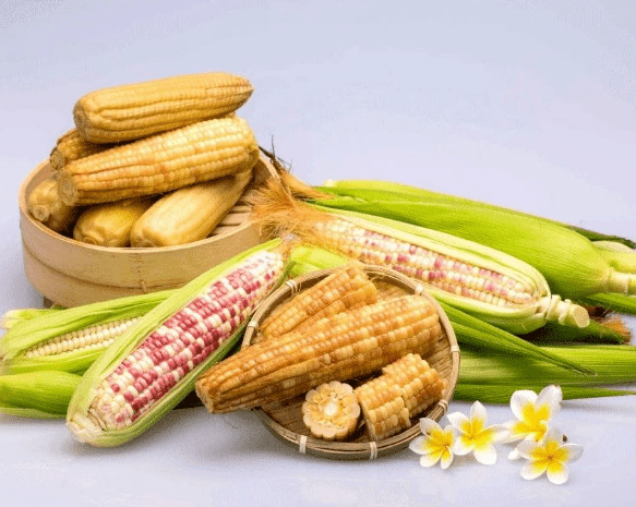 解药|解药很甜思念很玄