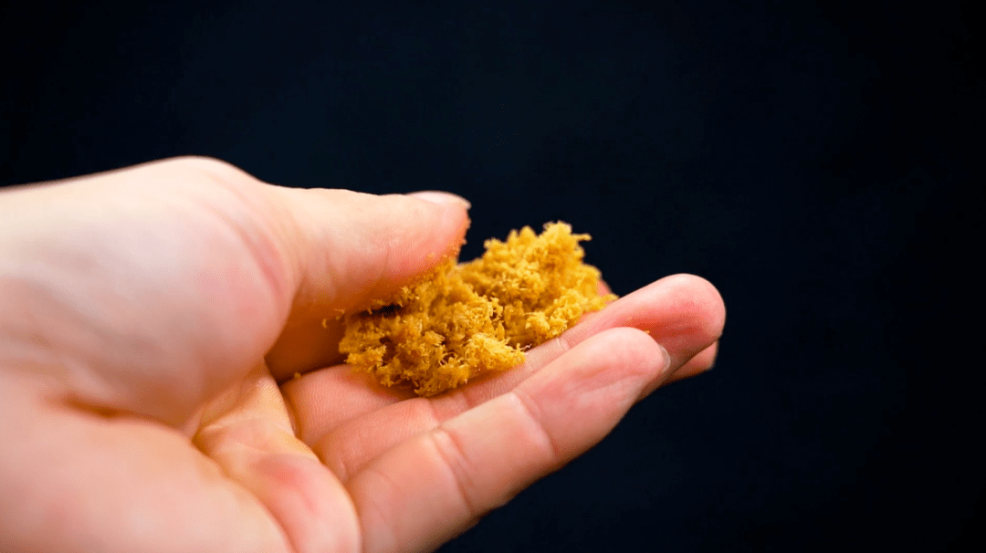 最让人|上班摸鱼一族必看：这可能是我们吃过、最让人上瘾的一款小零食了！