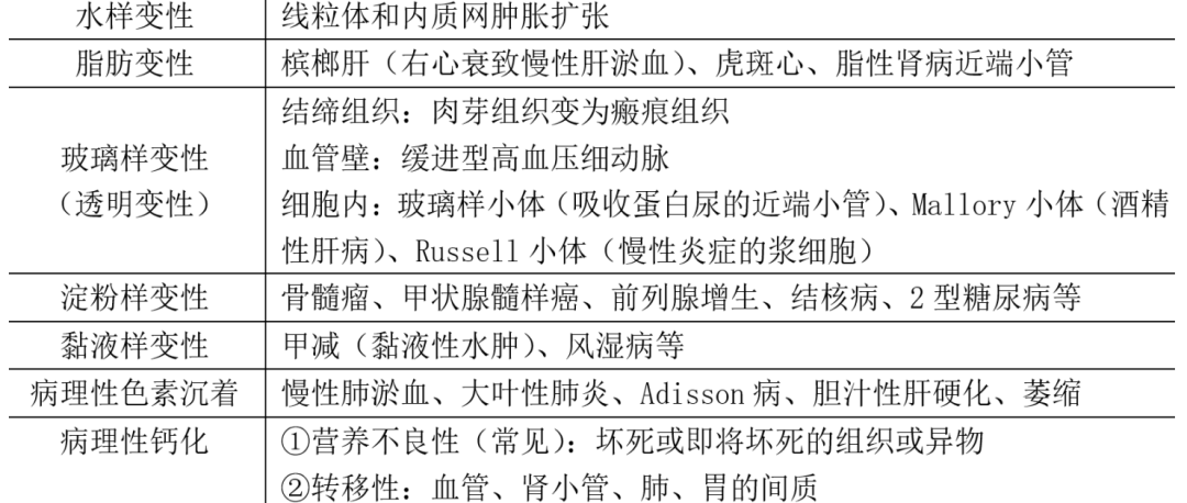 变性常考点对于e选项:免疫球蛋白在浆细胞内堆积,形成russell小体