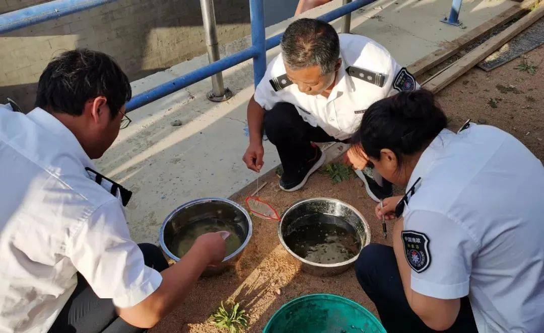 扎赉特旗开展水生生物增殖放流活动