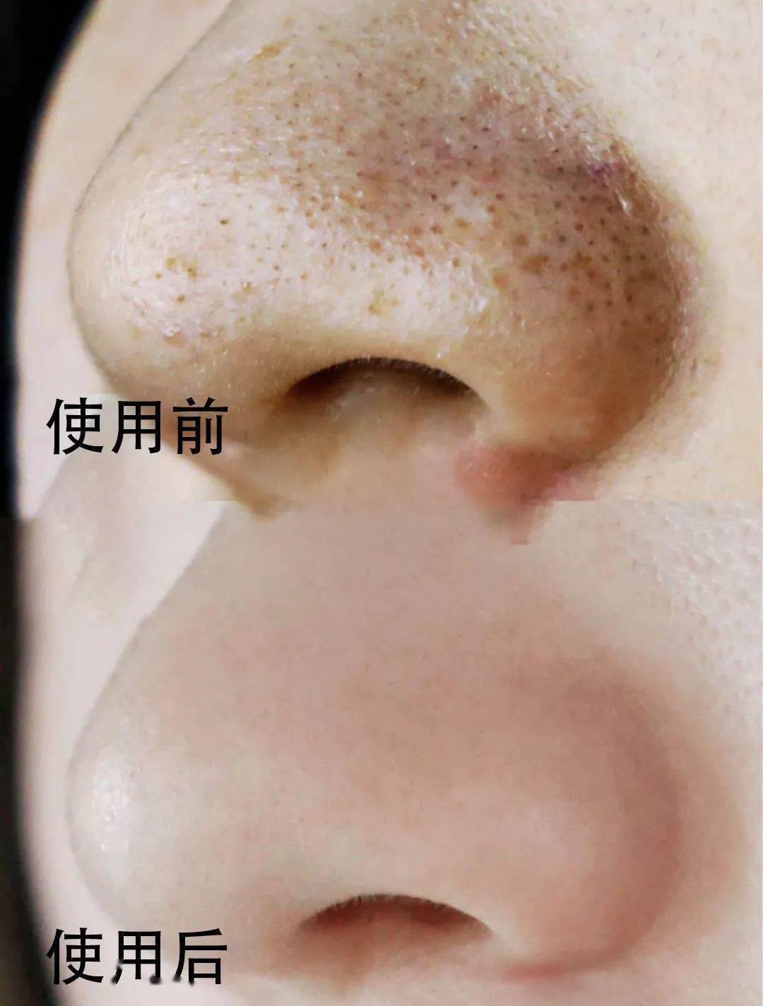 张天|张天爱比杨幂会“撩”?让小奶狗痴迷的她,到底有啥不一样?