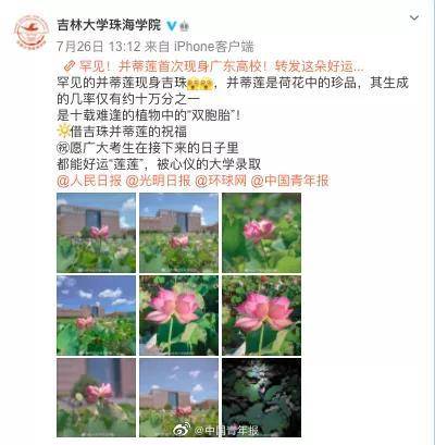 高校|10万分之一的概率！高校惊现罕见景象，美！