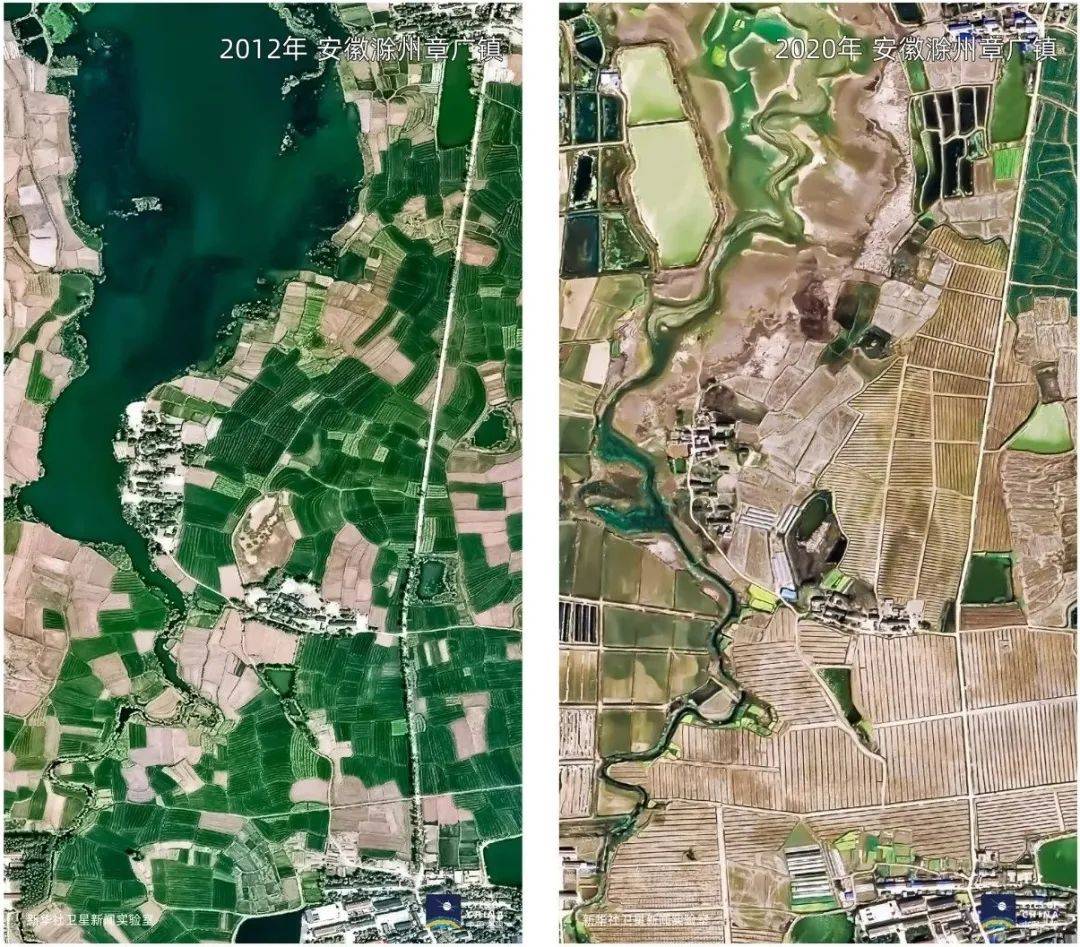 农田|地还是那些地，夏粮为何屡创新高？卫星发现一个秘密