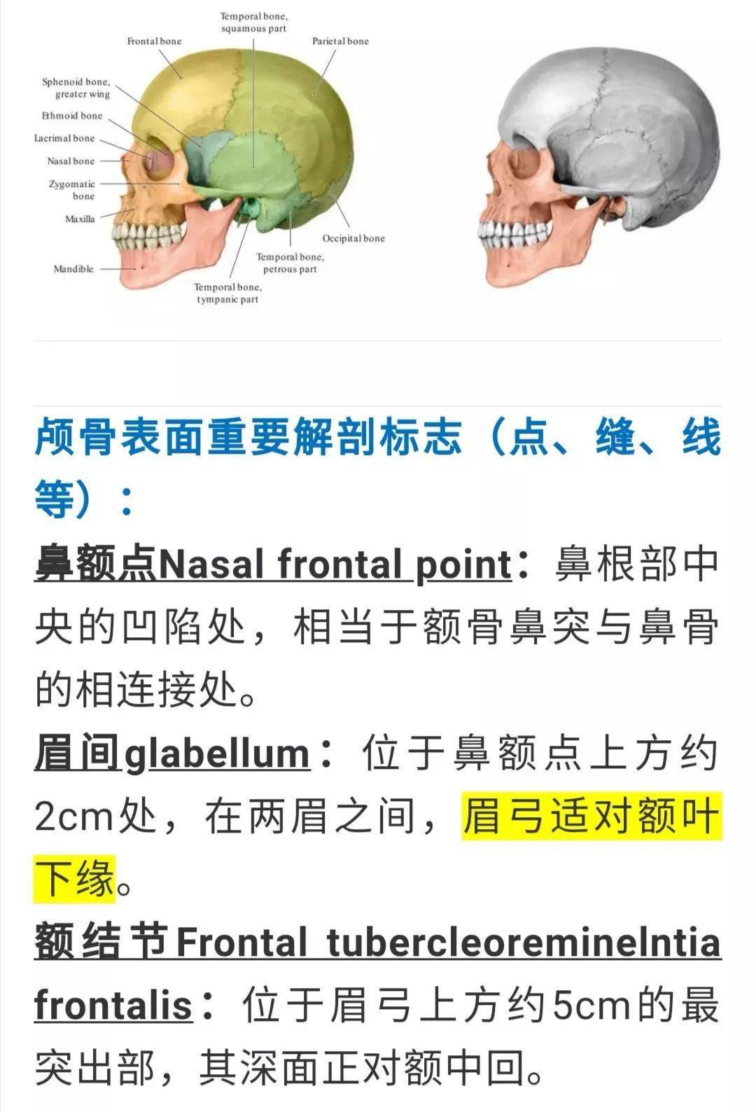 影像解剖超全详解丨一文读懂颅骨解剖美图分享