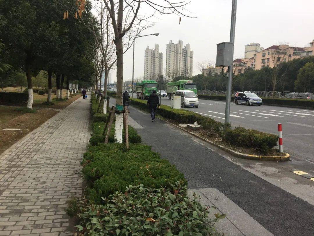 锦绣路,杨高南路道路彩化竣工,来瞅瞅?