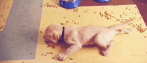 看完笑了我一整晚,这些