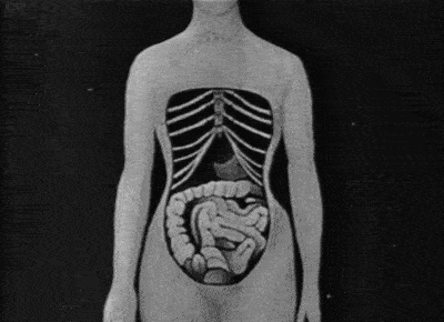 牙齿|古人为了变美，连蚯蚓、蚂蟥都往头上抹......