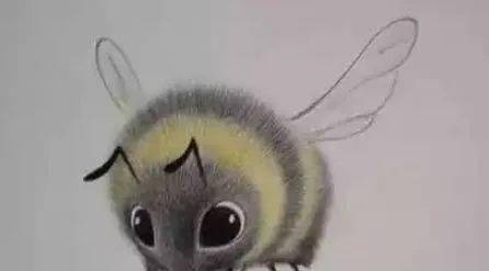 用彩铅来画可爱又简单的小蜜蜂丨彩铅