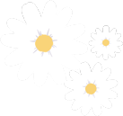 飞机品牌排行_最受欢迎十大私人飞机品牌排行榜(2)