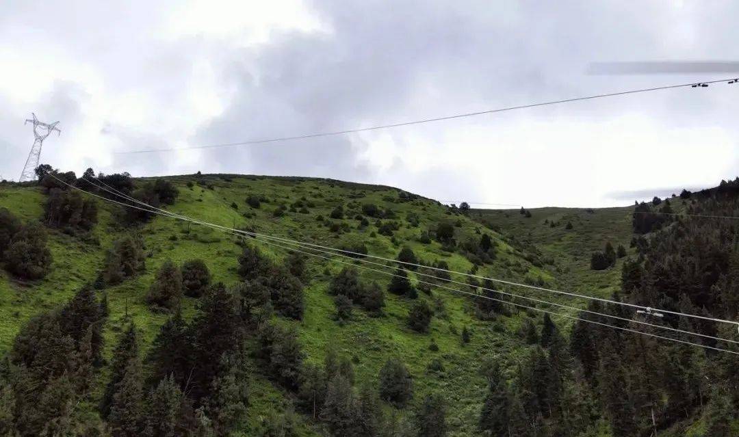 高航|变高航带多好用？大疆精灵4RTK险要地势玩转输电杆塔建模