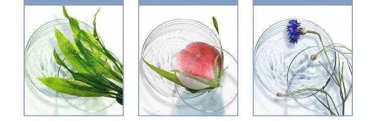 肌肤|畅销600万瓶、李佳琦推荐的爽肤水，真的值得入手吗？