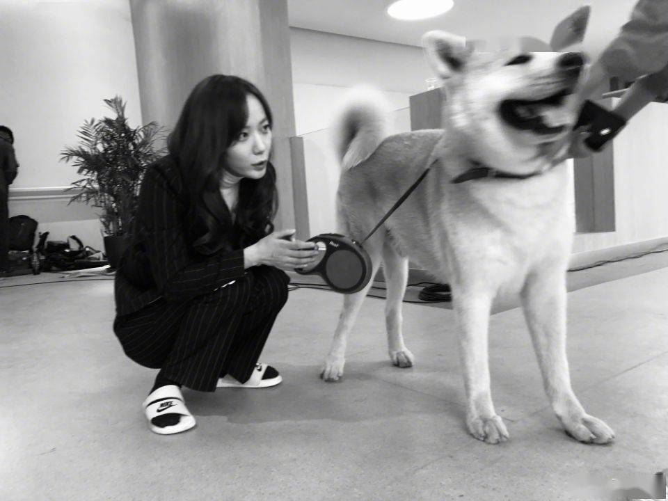 郭京飞王珞丹在景区坐雕塑踩石碑，不文明行为