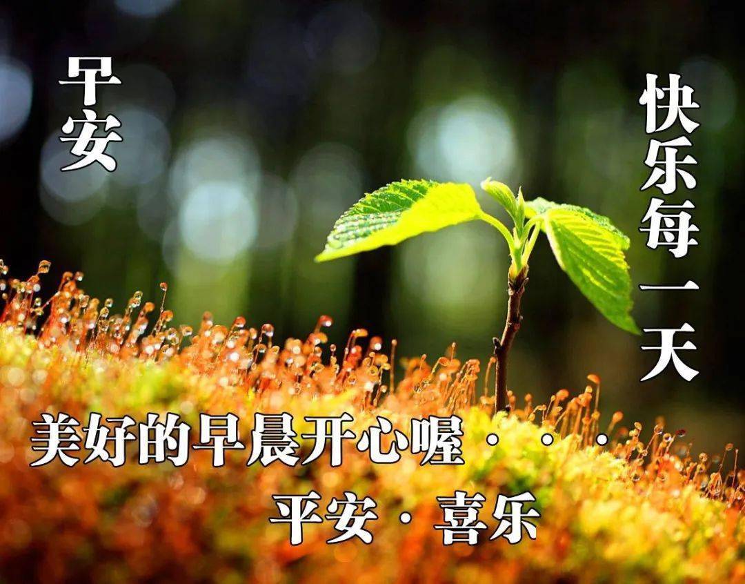 好听的早上好问候语 好看的早上祝福语美女图片群发