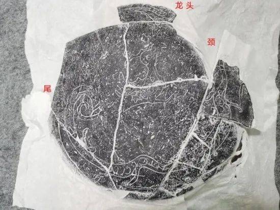 遗址|愤怒的小鸟猪,别装了!这只3200年前的猪一出土就冲上热搜