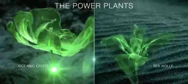 镜头|无滤镜镜头还能这么美，她凭啥能艳压半个娱乐圈？