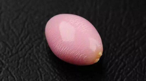 珍珠|这些世间罕见的珍珠，你拿着钱都买不到！