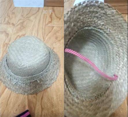 农学|农学，真的是劝退专业吗？