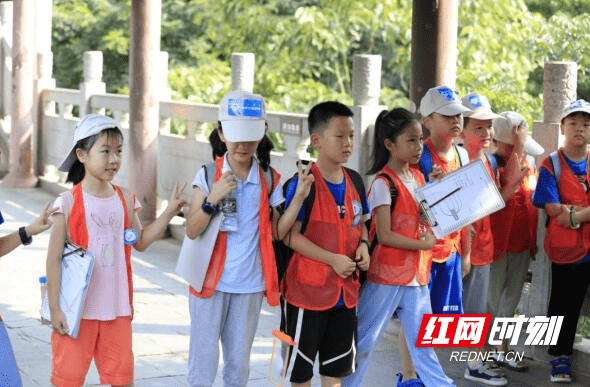 山在|【野羚羊成长记3】穿石坡湖：山在湖心如黛簇，沉醉青山不知归