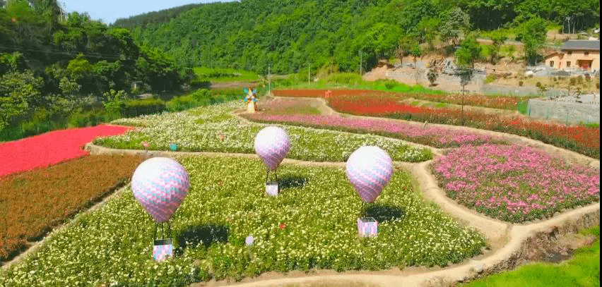 桃花岛