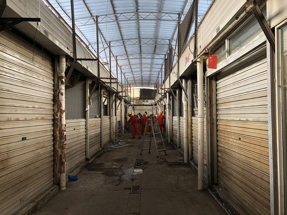 见证|上海市中心最后一家花鸟市场今日关闭，我们见证了最后时光