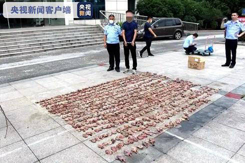 弹弓|无锡一男子借助热成像仪和弹弓非法捕获斑鸠1000余只 已被刑拘