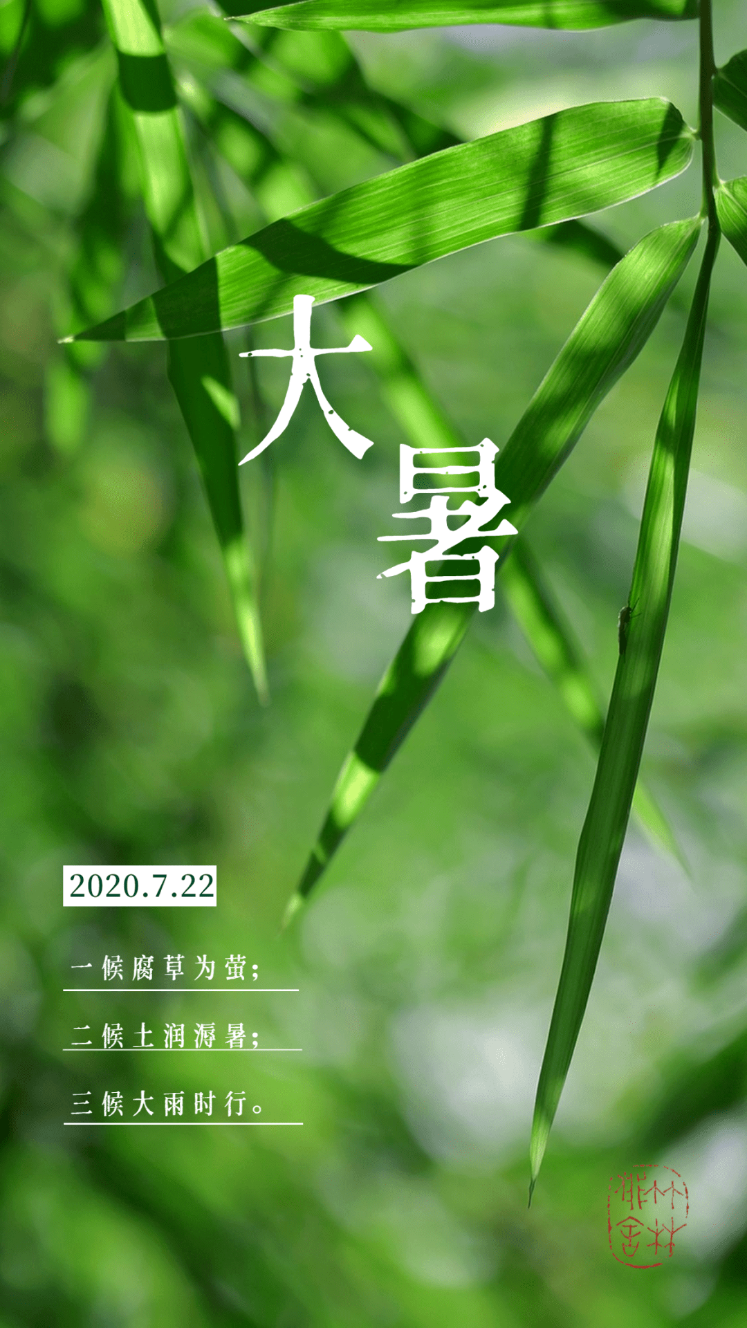 大暑· 悠悠欲与白云聚