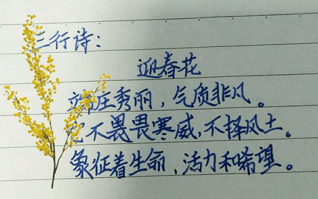 【菁彩】三下乡|叮~请签收同学们的古诗词课后作业