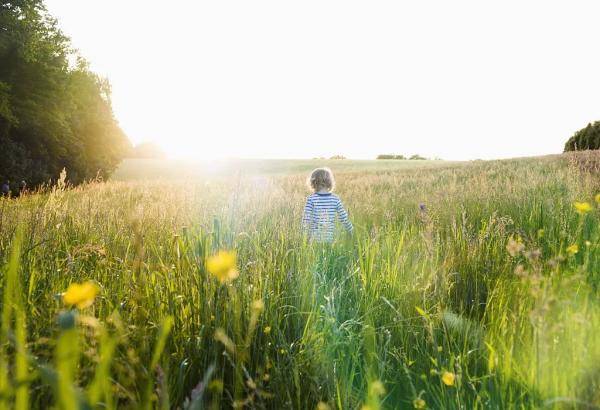 时间|晨读丨五个自我管理的好习惯，请逼自己养成