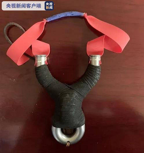 弹弓|无锡一男子借助热成像仪和弹弓非法捕获斑鸠1000余只 已被刑拘