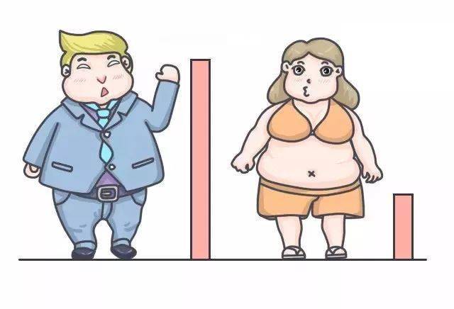 男人易胖肚子，女人易胖下半身。