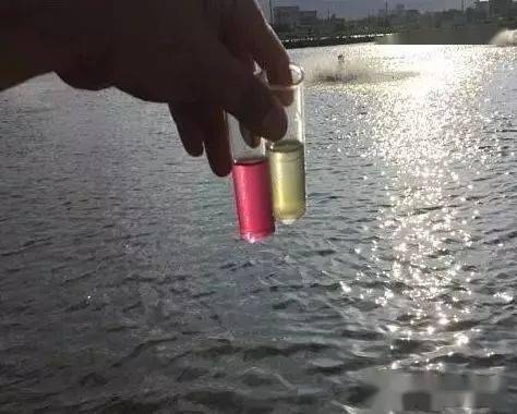 1,氨氮毒性:水中的氨氮以分子氨(nh3)和离子氨(nh4 )存在.