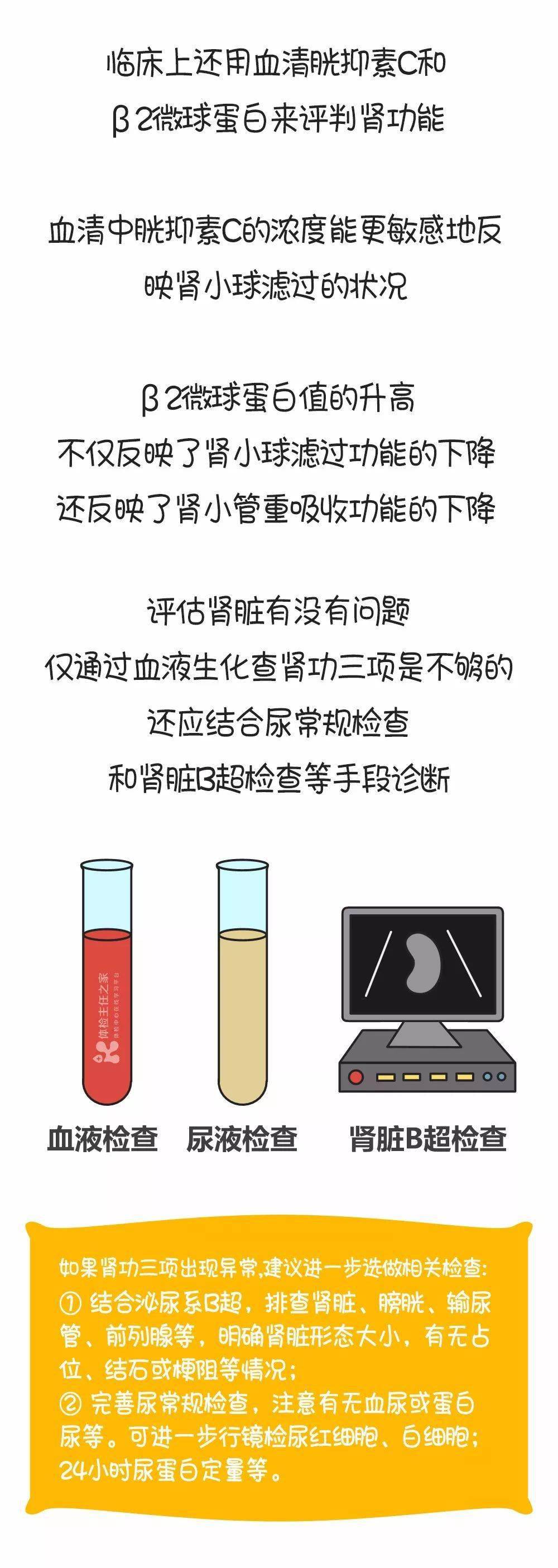 肾脏|肾功能指标主要看肌酐？错了！