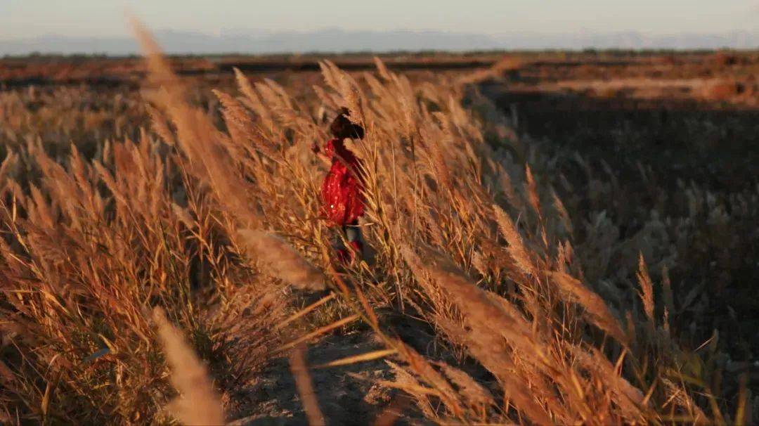 艾萨|她画下了火车，房子，所有不舍的东西，唯独没敢和艾萨告别